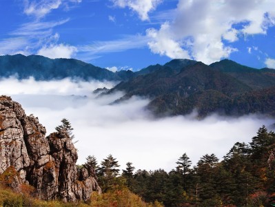 乌鲁木齐神农架：秘境之旅，云海奇观，草原牧歌，探寻世外桃源